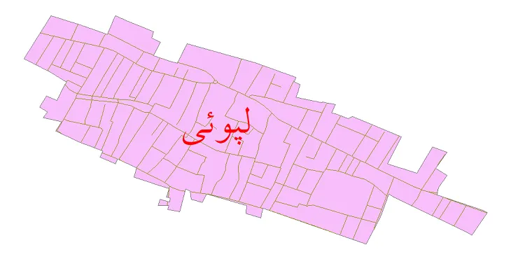 دانلود نقشه شیپ فایل شبکه معابر شهر لپوئی